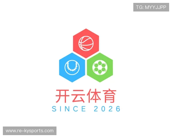关于开云体育娱乐网址
